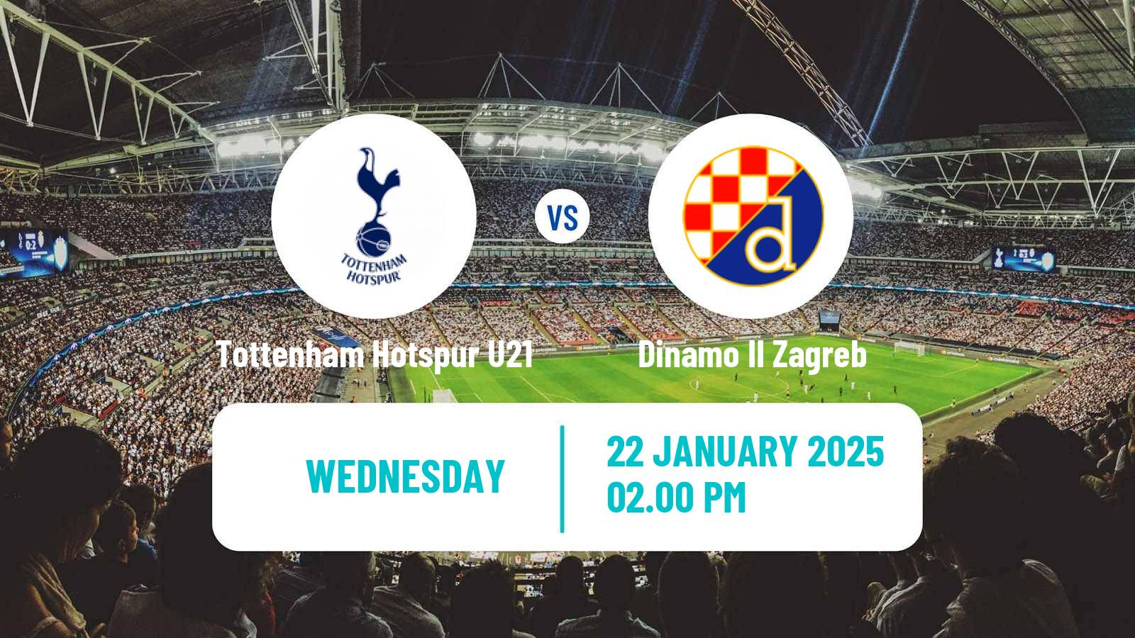 Soccer English Premier League International Cup Tottenham Hotspur U21 - Dinamo II Zagreb