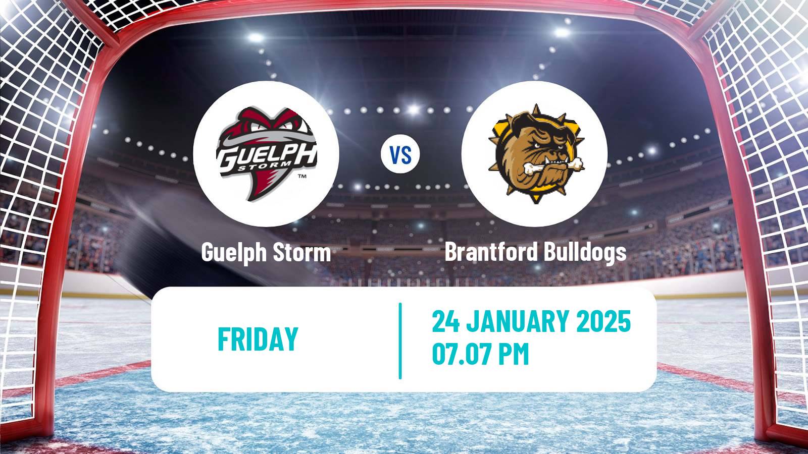 Hockey OHL Guelph Storm - Brantford Bulldogs