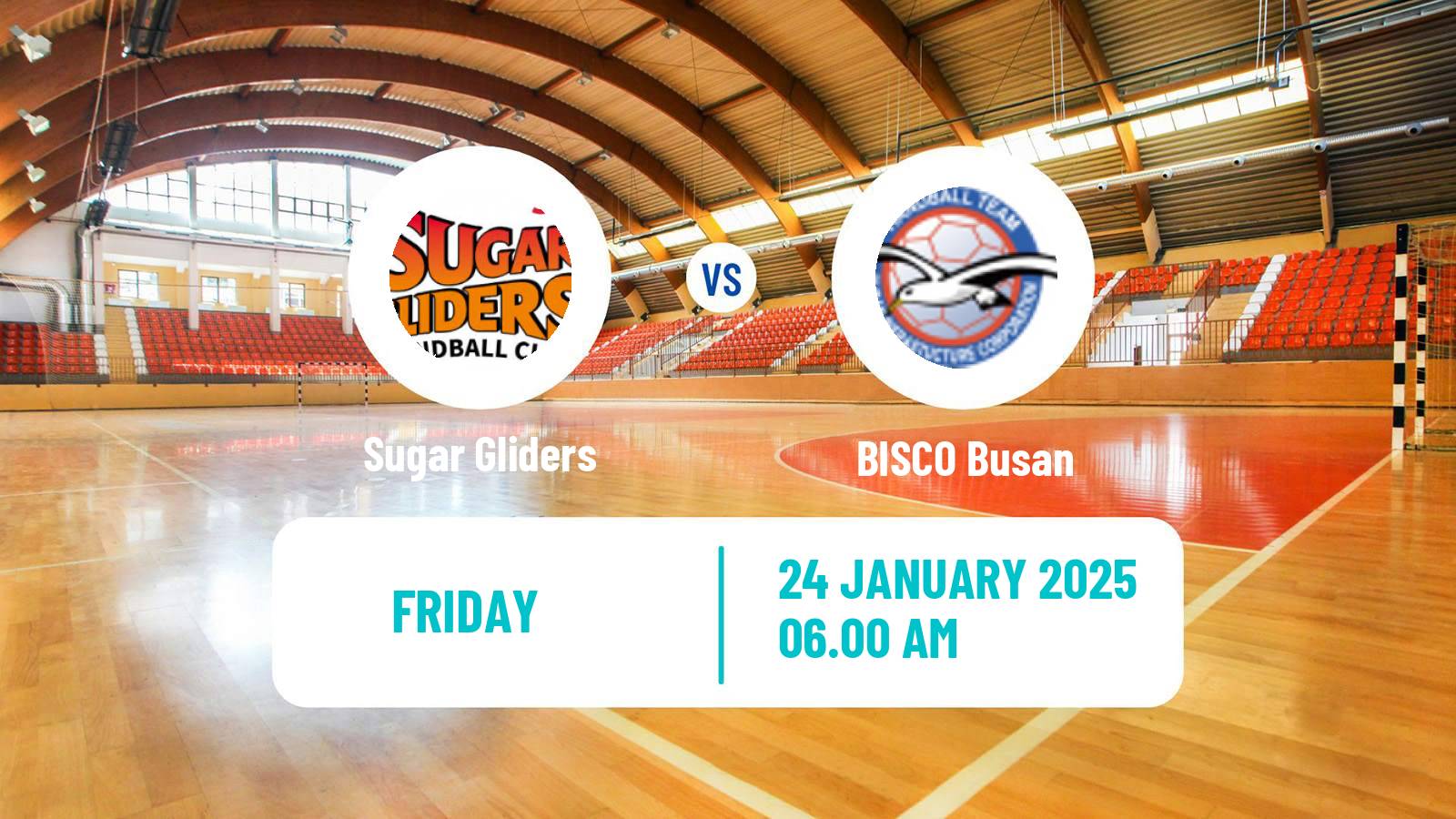 Handball South Korean 1st League Handball Women Sugar Gliders - BISCO Busan