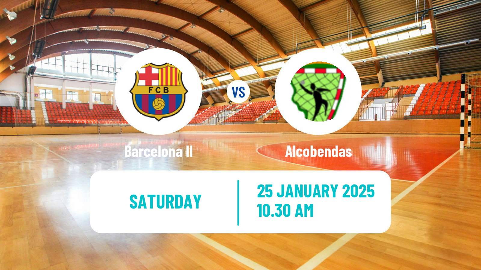 Handball Spanish Division de Honor Plata Handball Barcelona II - Alcobendas