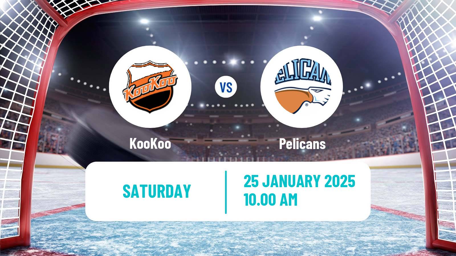 Hockey Finnish SM-liiga KooKoo - Pelicans