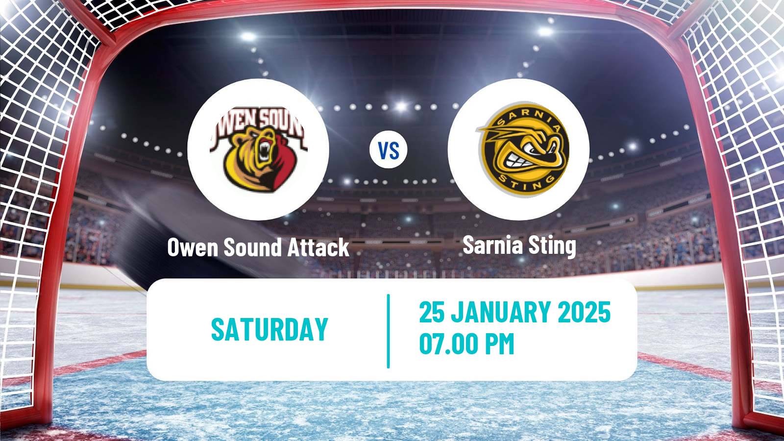 Hockey OHL Owen Sound Attack - Sarnia Sting