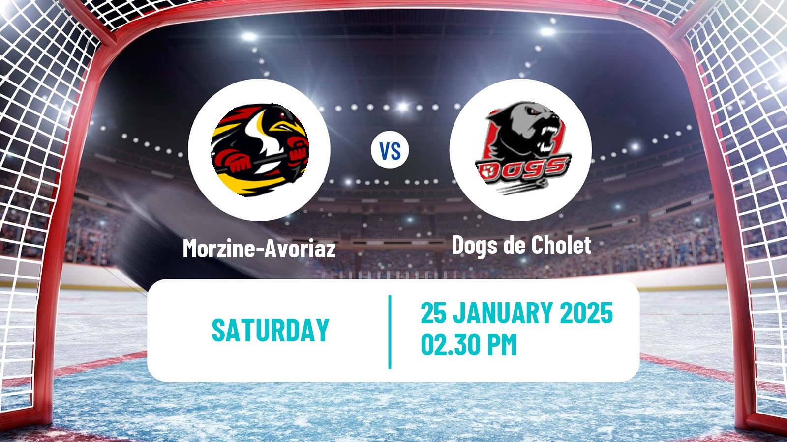 Hockey French D1 Ice Hockey Morzine-Avoriaz - Dogs de Cholet