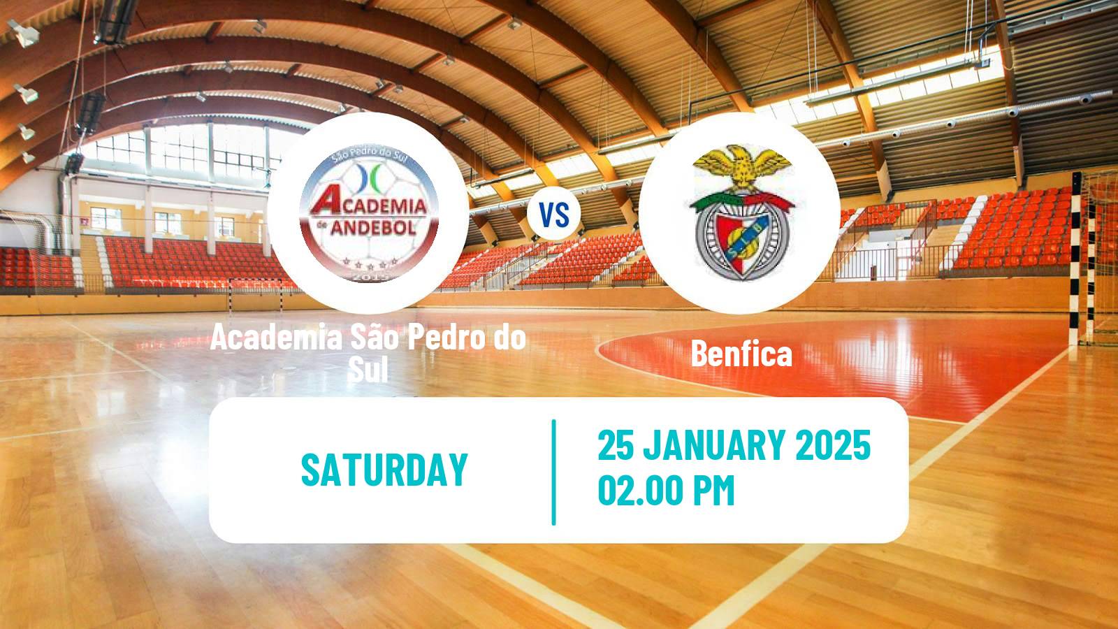 Handball Portuguese 1a Divisao Handball Women Academia São Pedro do Sul - Benfica