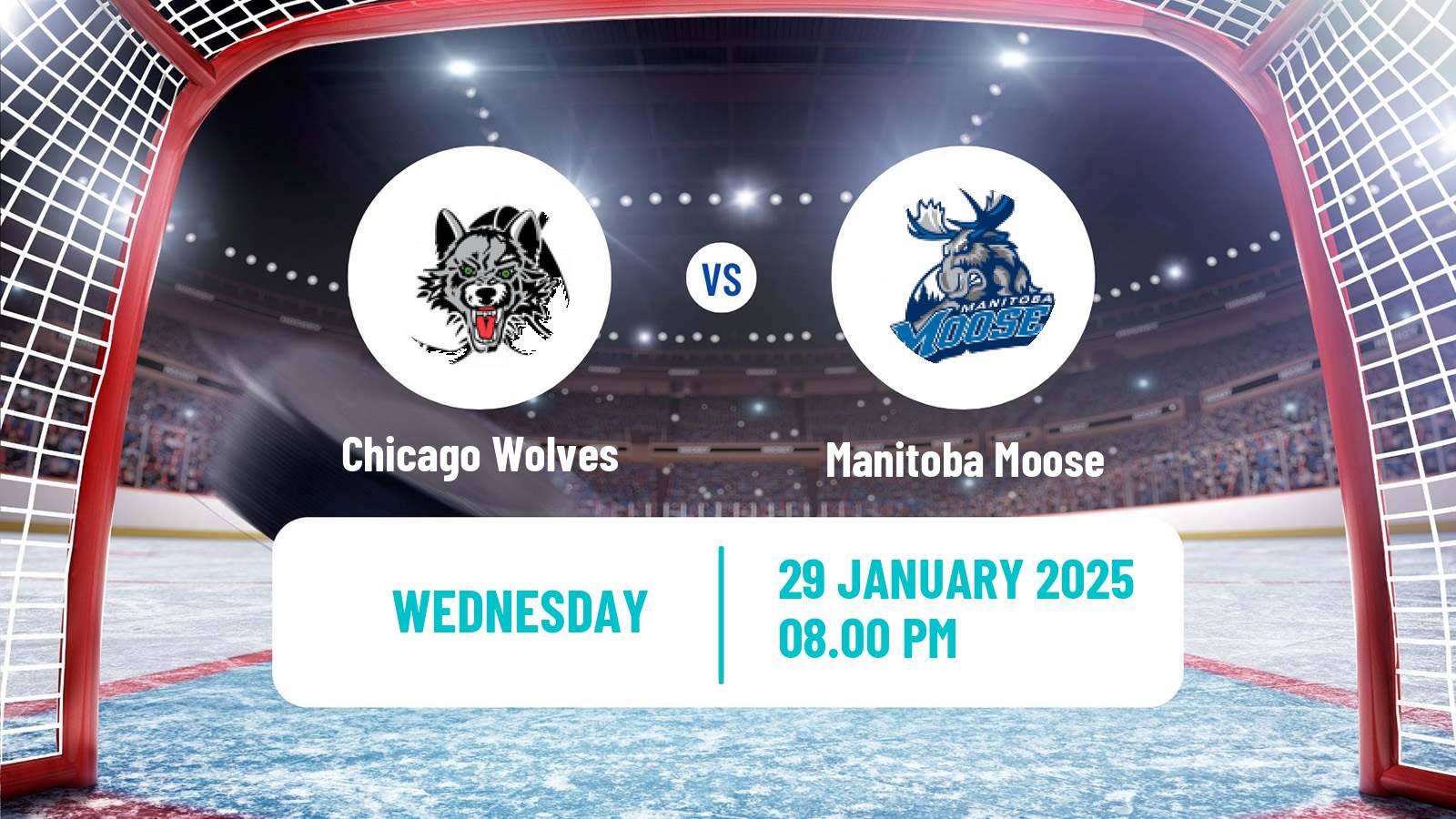 Hockey AHL Chicago Wolves - Manitoba Moose