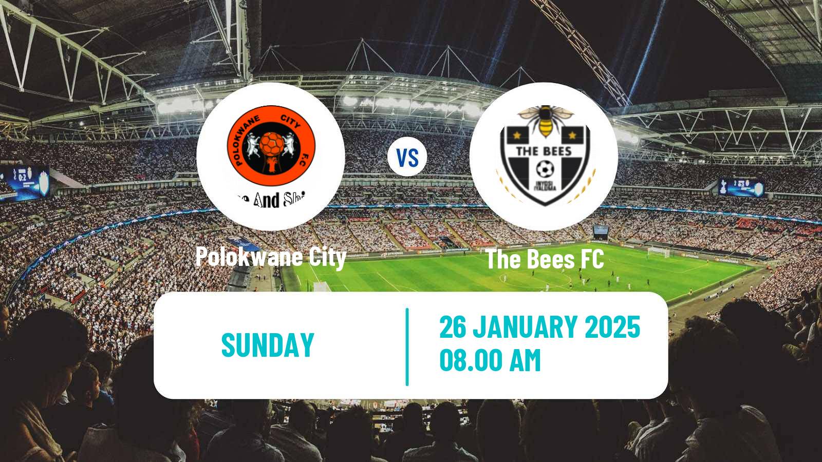 Soccer South African Nedbank Cup Polokwane City - The Bees