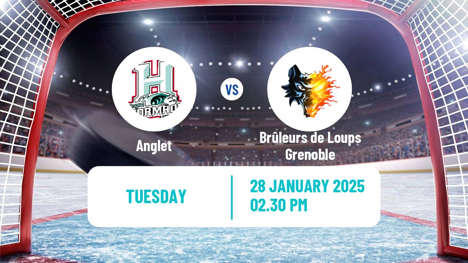 Hockey French Ligue Magnus Anglet - Brûleurs de Loups Grenoble