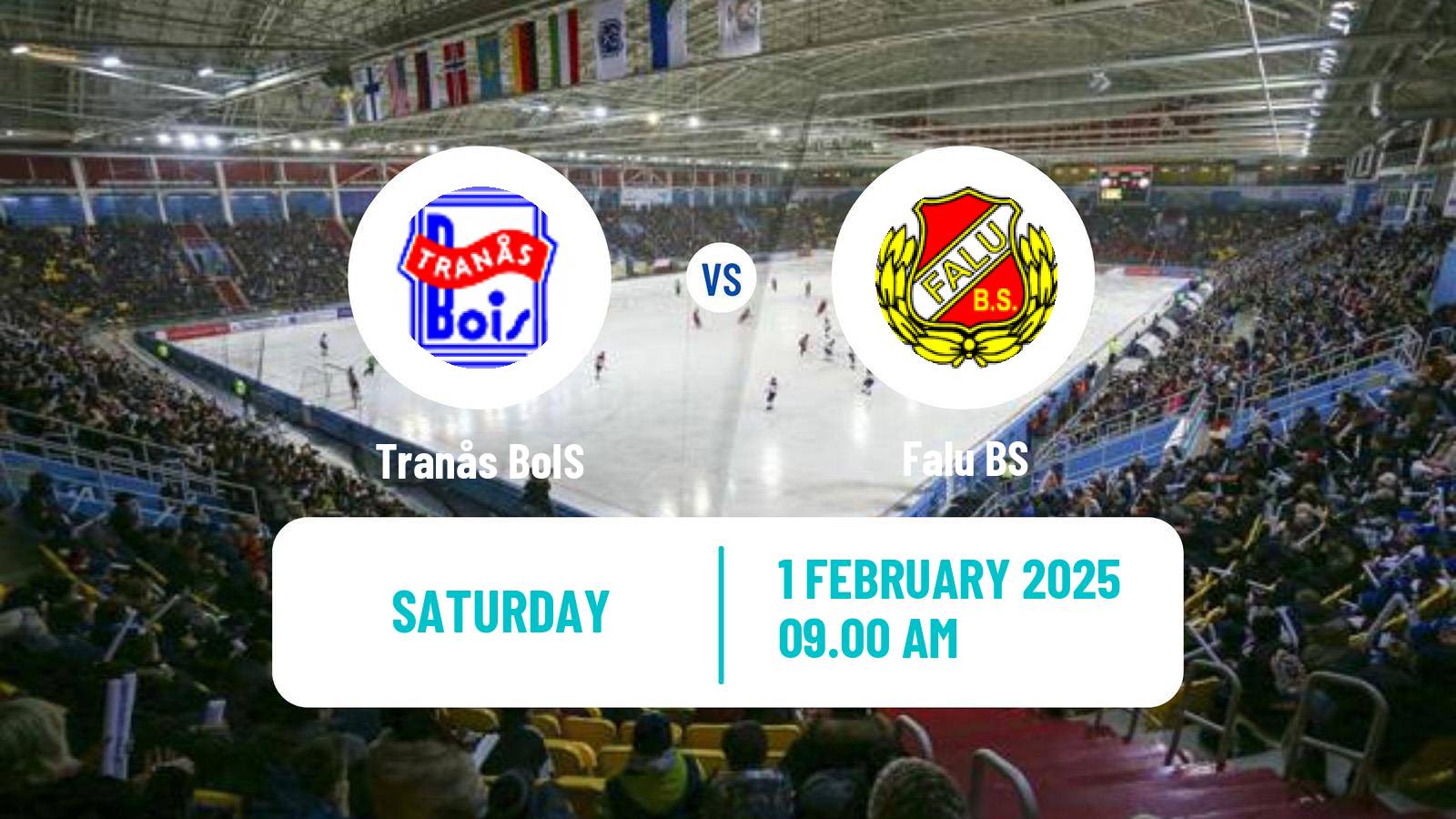 Bandy Swedish Allsvenskan Bandy Tranås BoIS - Falu