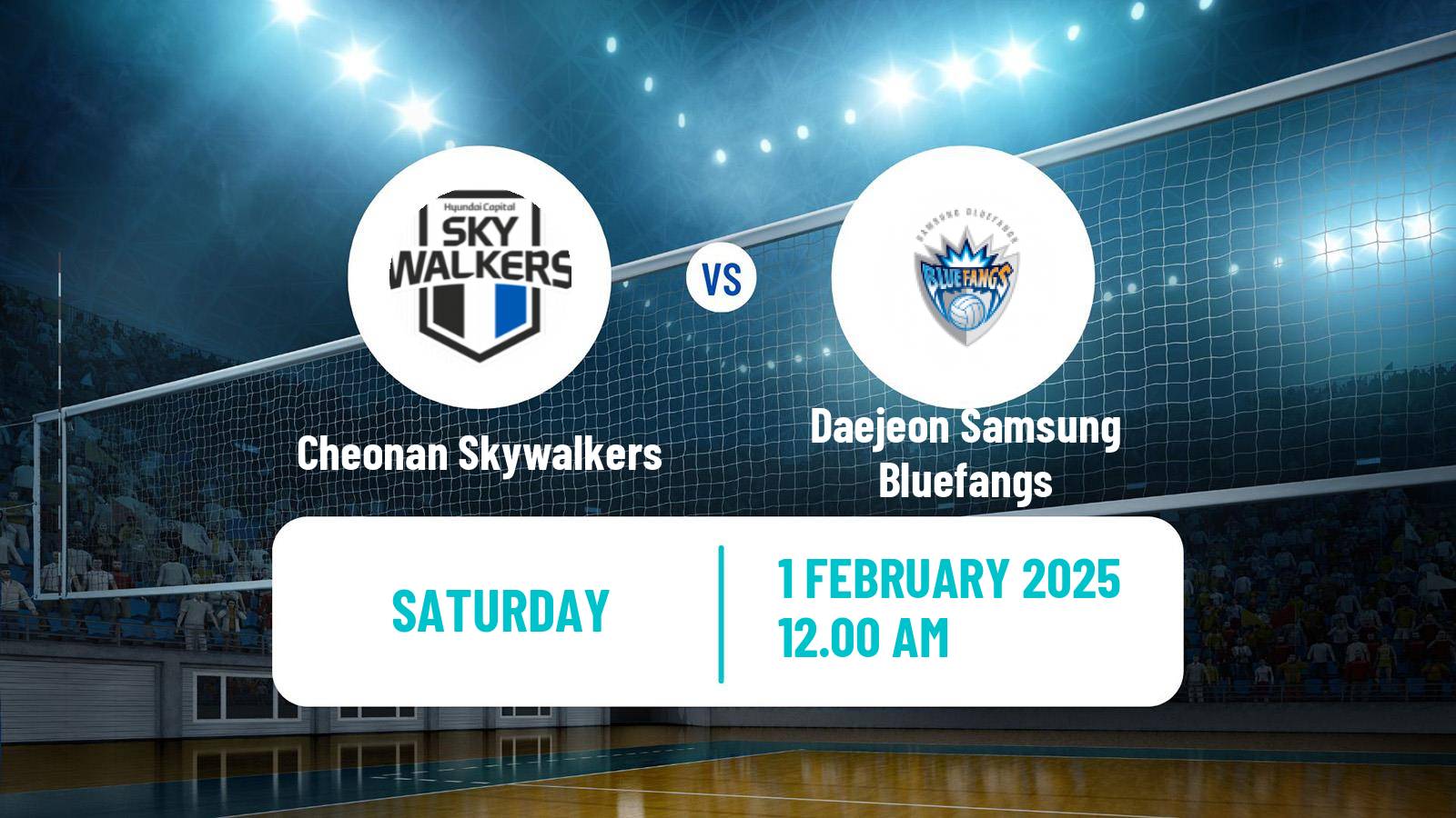 Volleyball South Korean V-League Cheonan Skywalkers - Daejeon Samsung Bluefangs