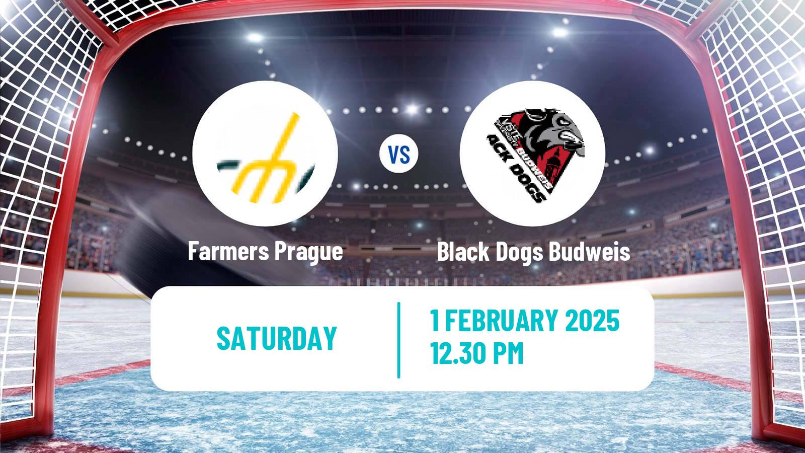 Hockey Czech ULLH Farmers Prague - Black Dogs Budweis