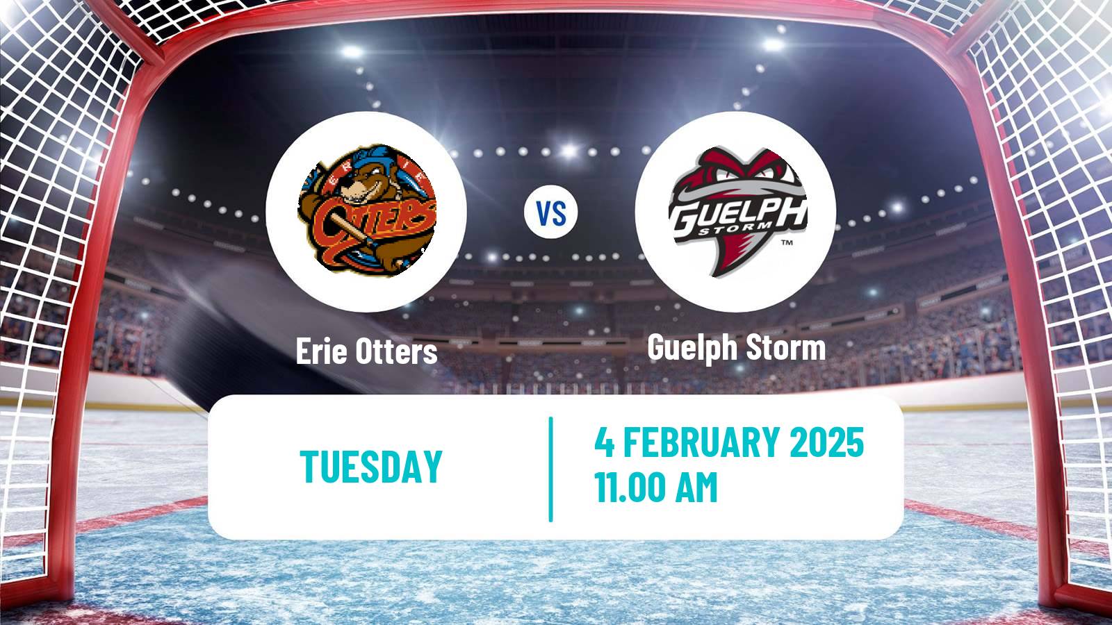 Hockey OHL Erie Otters - Guelph Storm