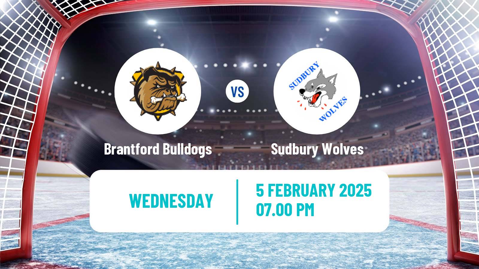 Hockey OHL Brantford Bulldogs - Sudbury Wolves