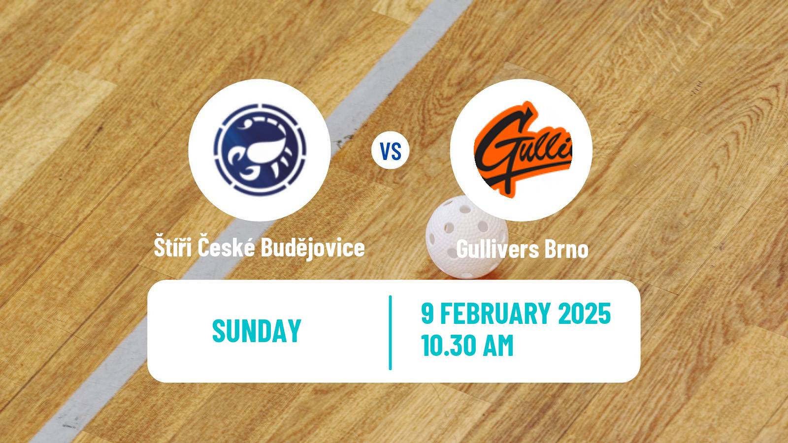 Floorball Czech 1 Liga Floorball Štíři České Budějovice - Gullivers Brno