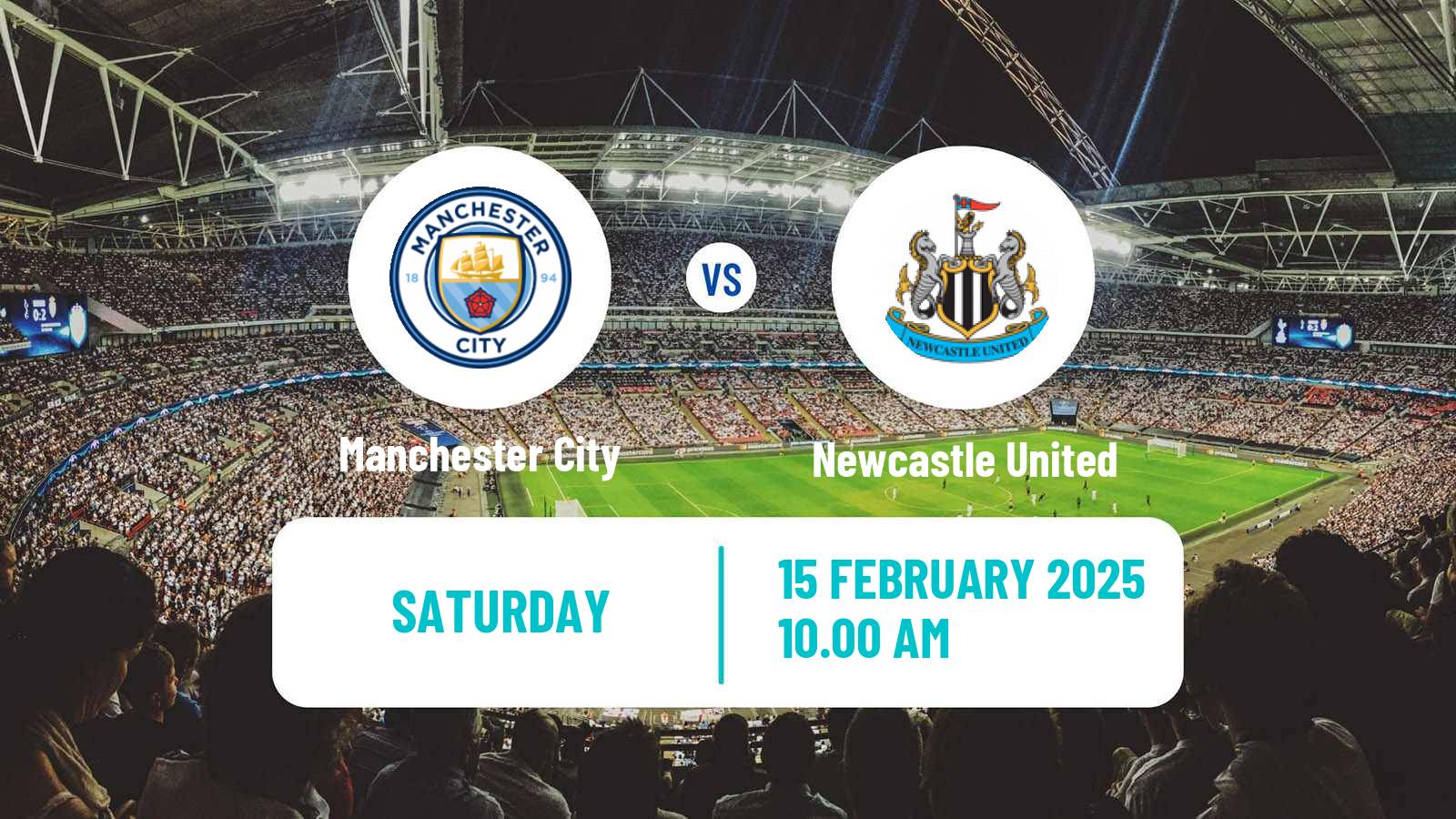 Soccer English Premier League Manchester City - Newcastle United