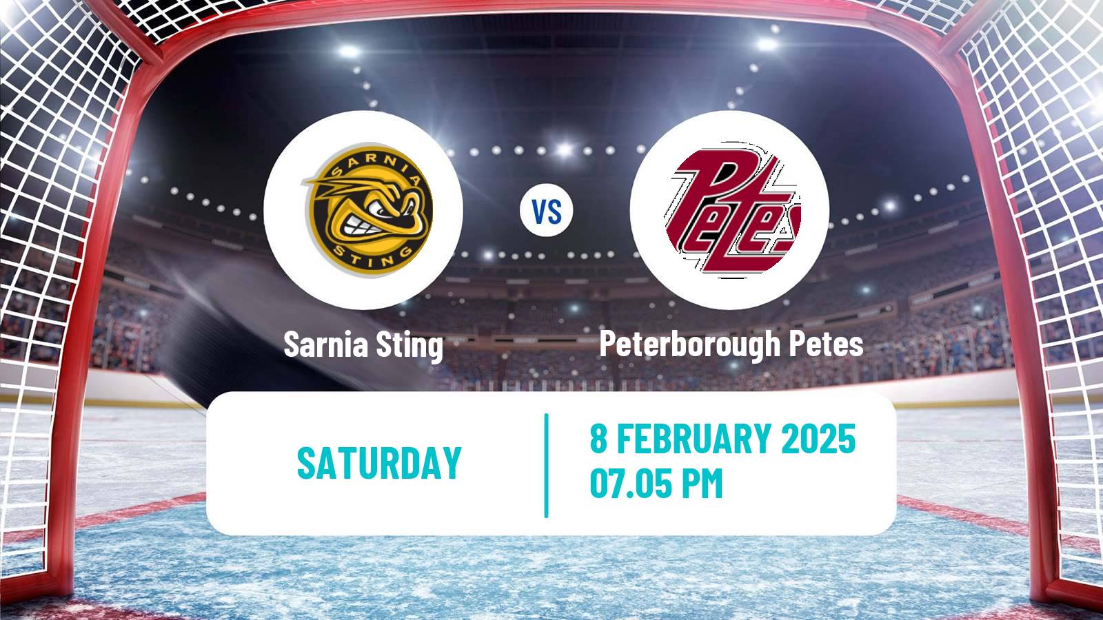 Hockey OHL Sarnia Sting - Peterborough Petes