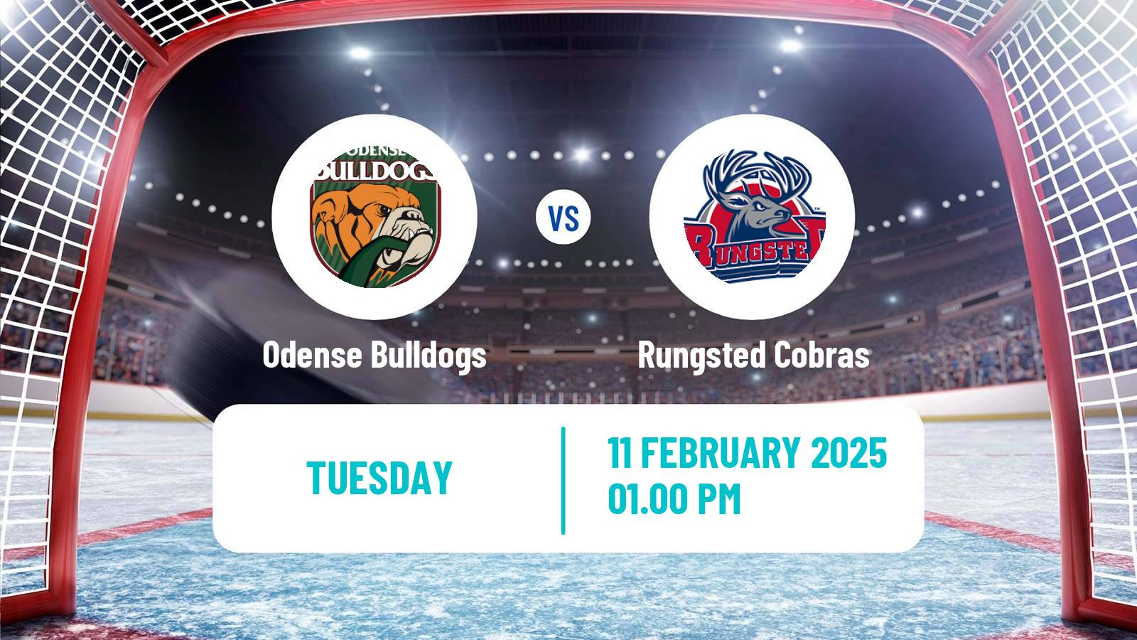 Hockey Danish Ishockey Ligaen Odense Bulldogs - Rungsted Cobras