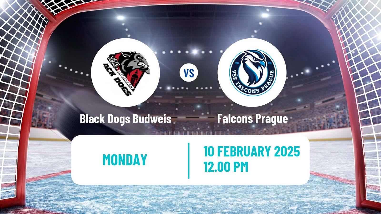 Hockey Czech ULLH Black Dogs Budweis - Falcons Prague