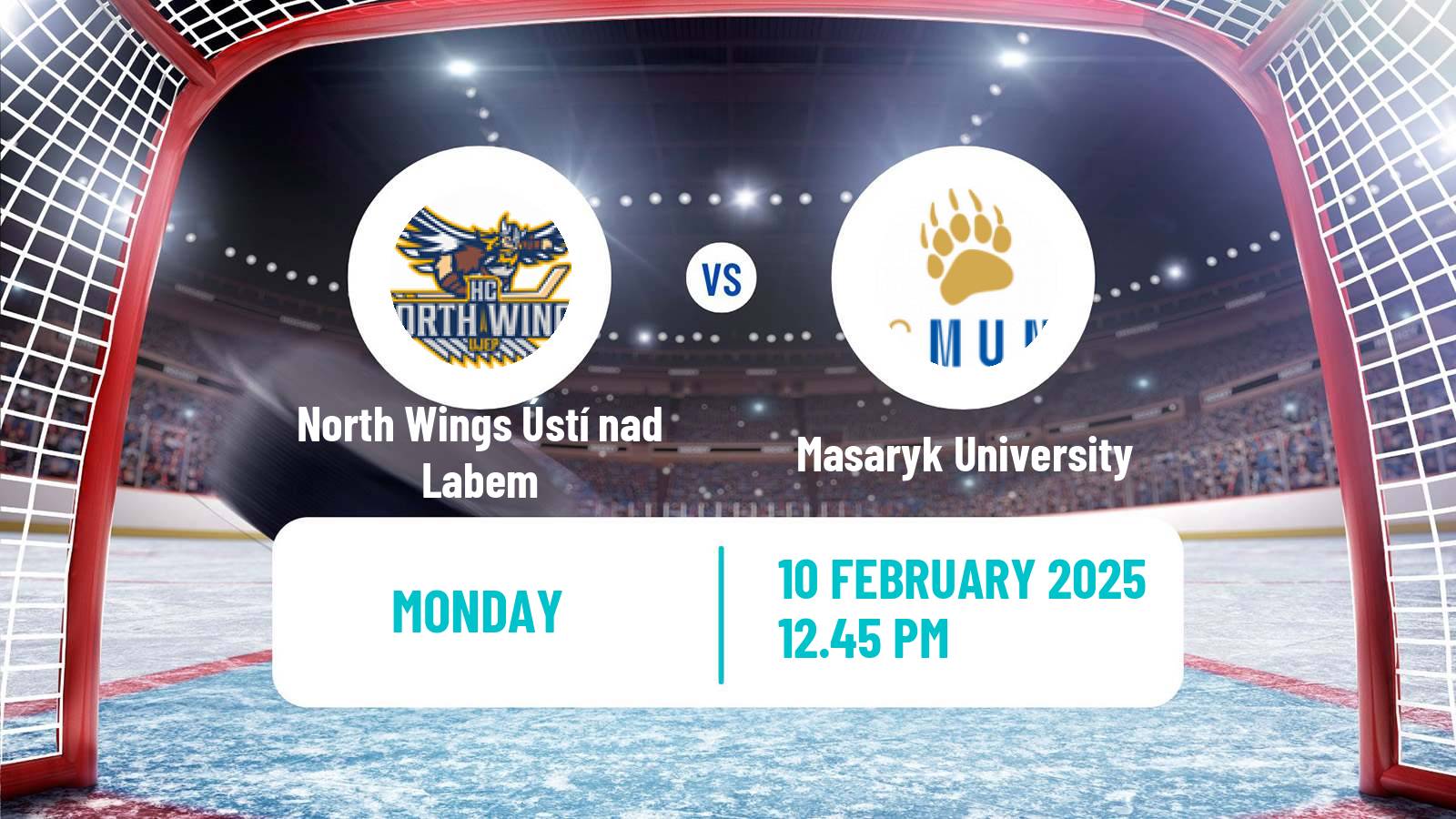 Hockey Czech ULLH North Wings Ústí nad Labem - Masaryk University