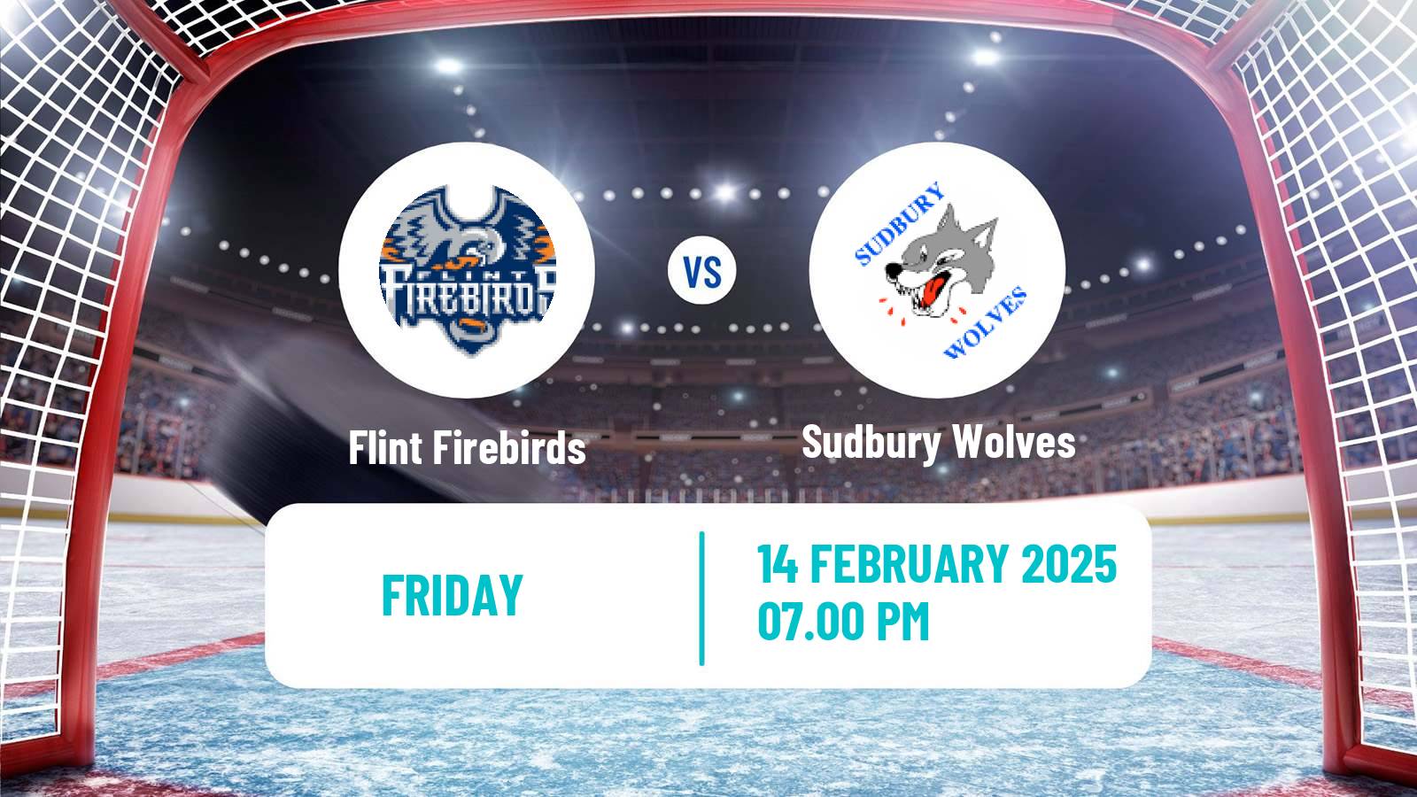 Hockey OHL Flint Firebirds - Sudbury Wolves