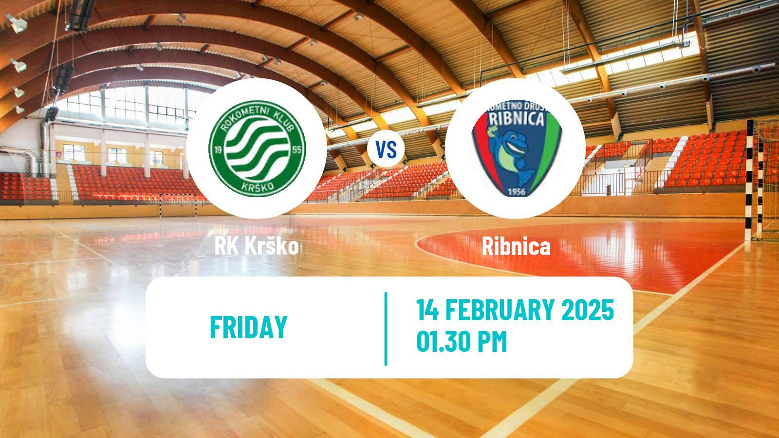 Handball Slovenian 1 NLB Liga Handball Krško - Ribnica