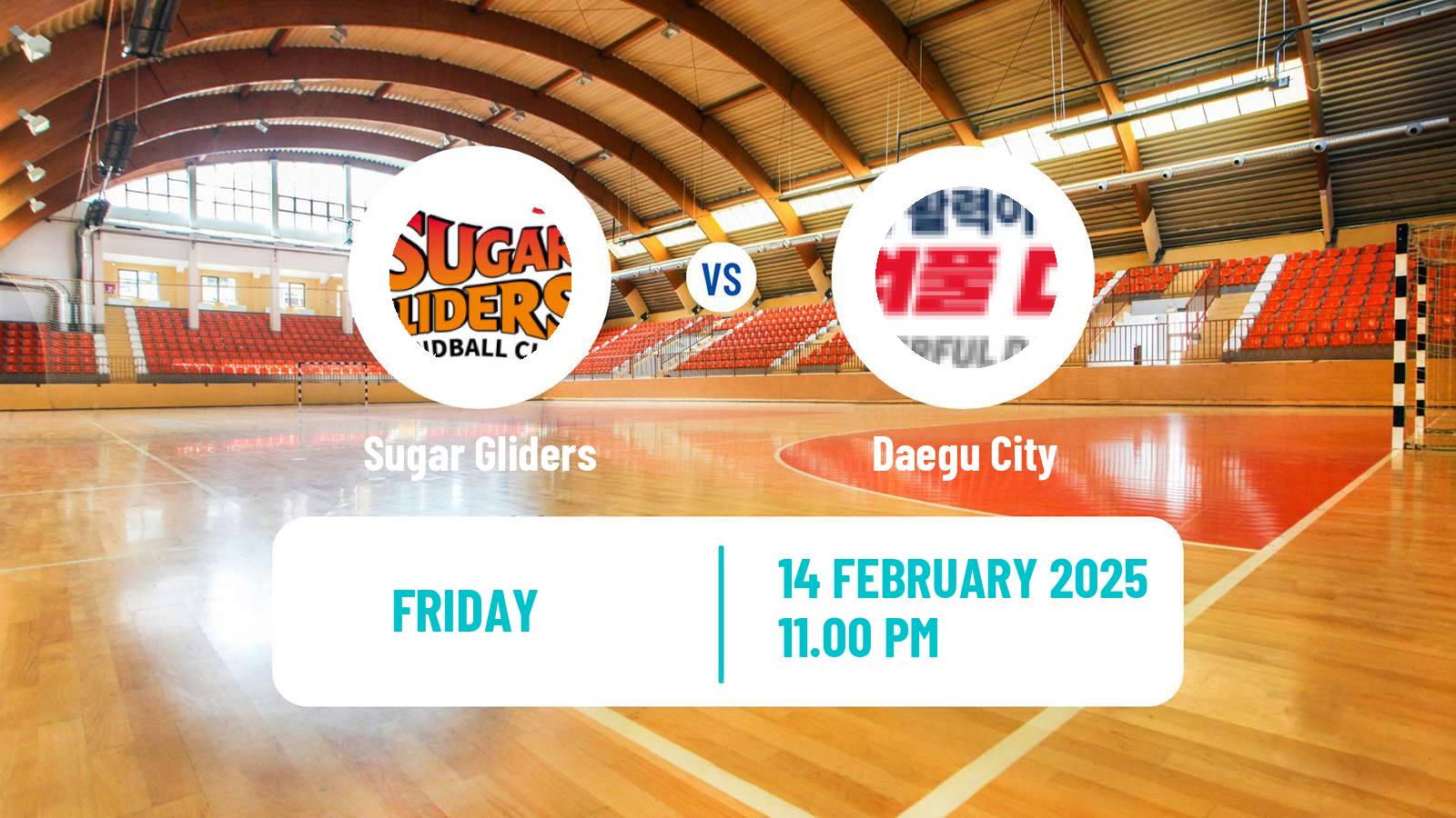 Handball South Korean 1st League Handball Women Sugar Gliders - Daegu City