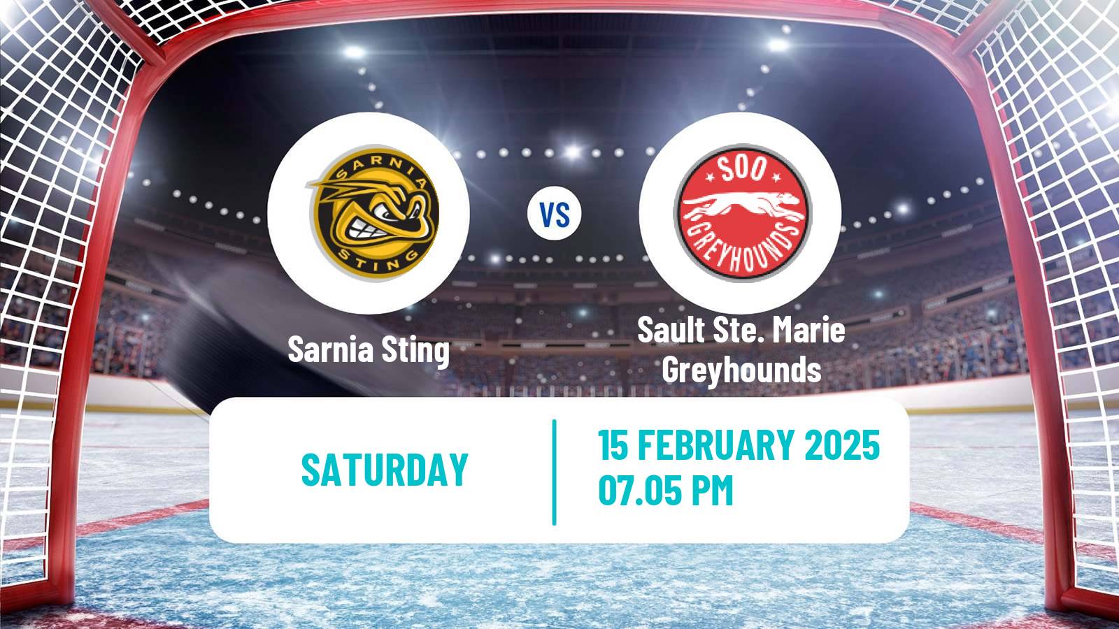 Hockey OHL Sarnia Sting - Sault Ste. Marie Greyhounds