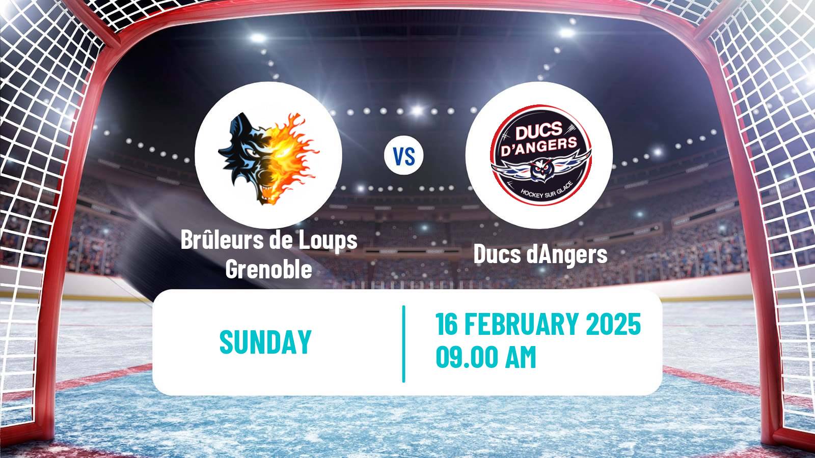 Hockey French Hockey Cup Brûleurs de Loups Grenoble - Angers