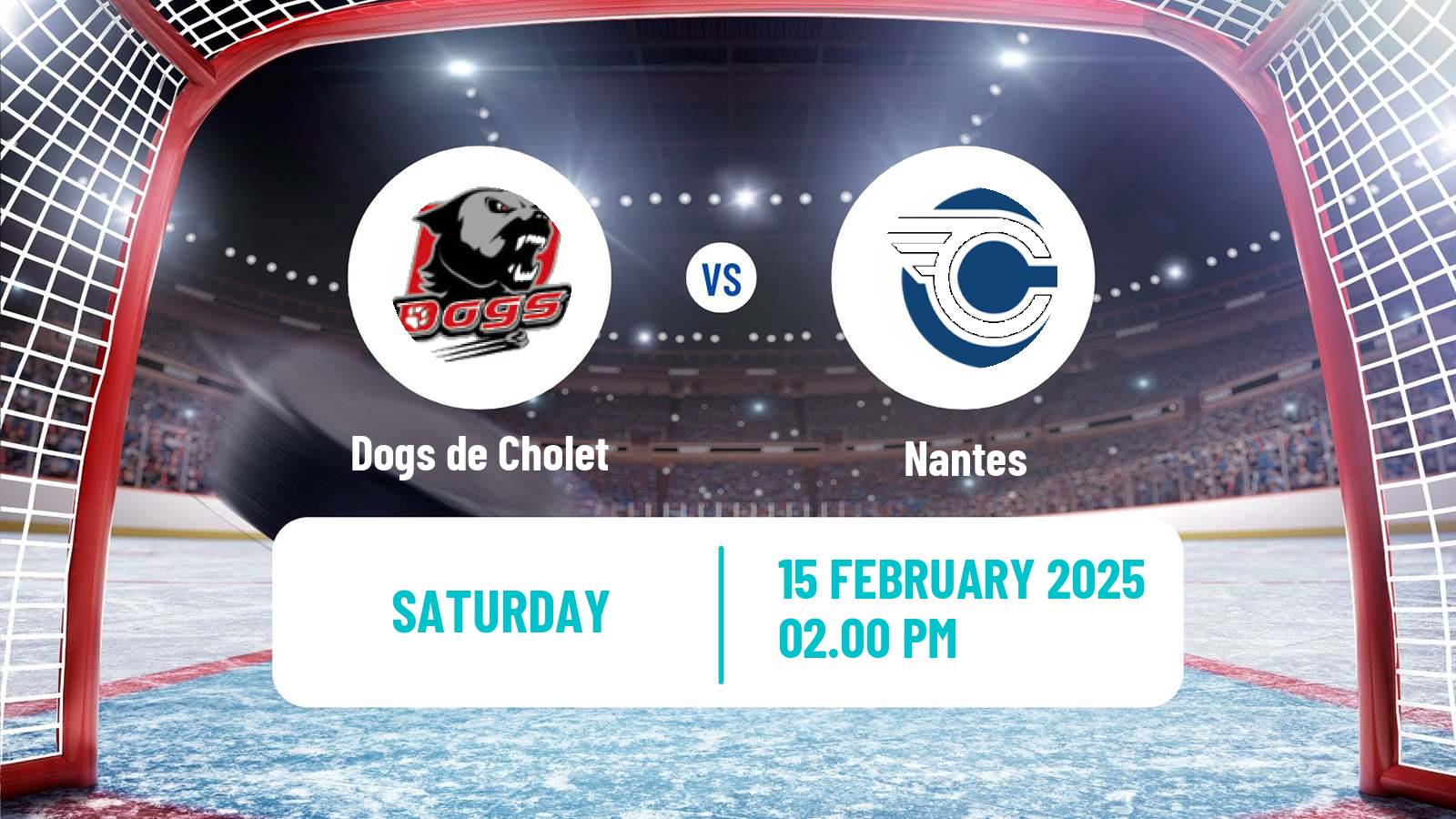 Hockey French D1 Ice Hockey Dogs de Cholet - Nantes