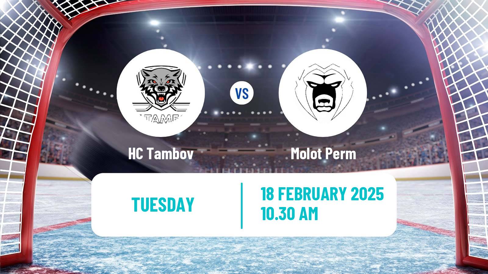 Hockey VHL Tambov - Molot Perm