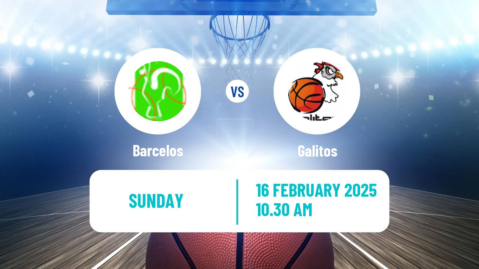 Basketball Portuguese LFB Barcelos - Galitos