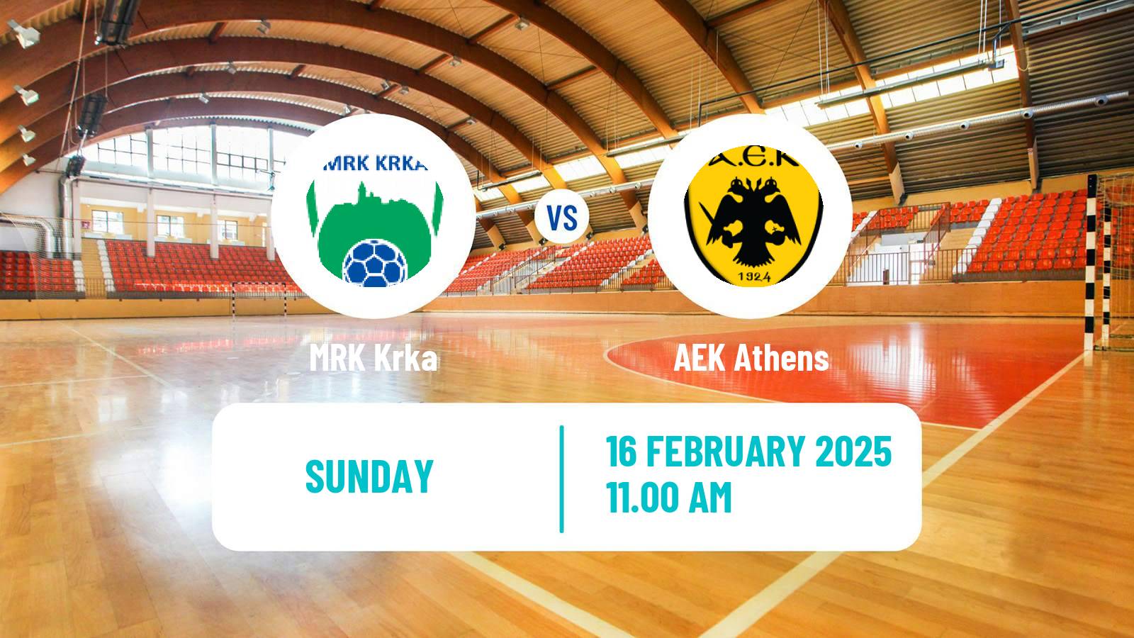 Handball EHF European Cup Krka - AEK Athens