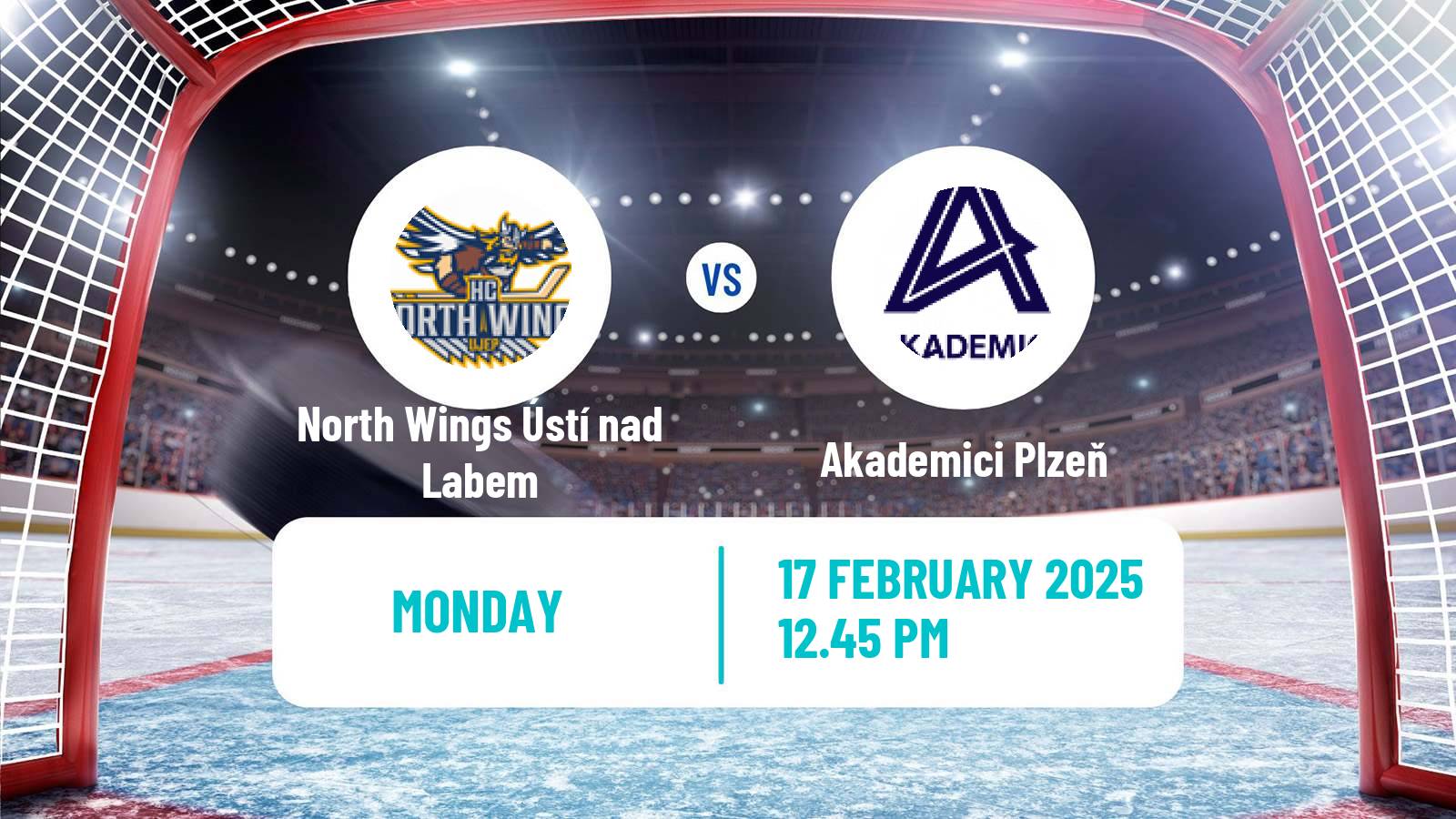 Hockey Czech ULLH North Wings Ústí nad Labem - Akademici Plzeň