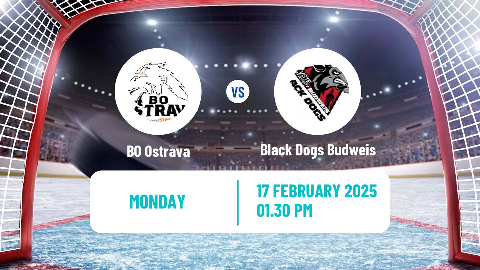 Hockey Czech ULLH BO Ostrava - Black Dogs Budweis