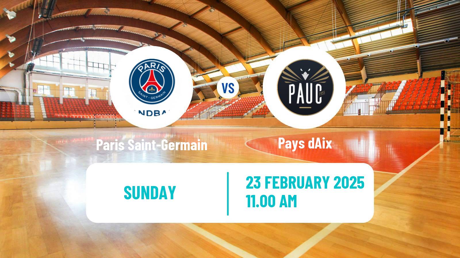 Handball French Starligue Handball Paris Saint-Germain - Pays dAix