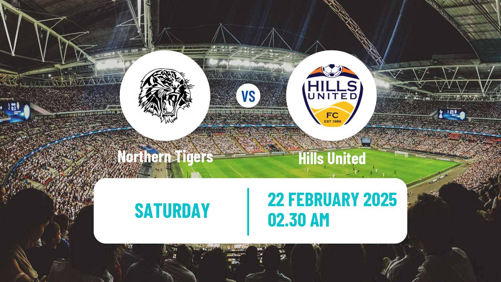 Soccer Australian NSW League One Northern Tigers - Hills United