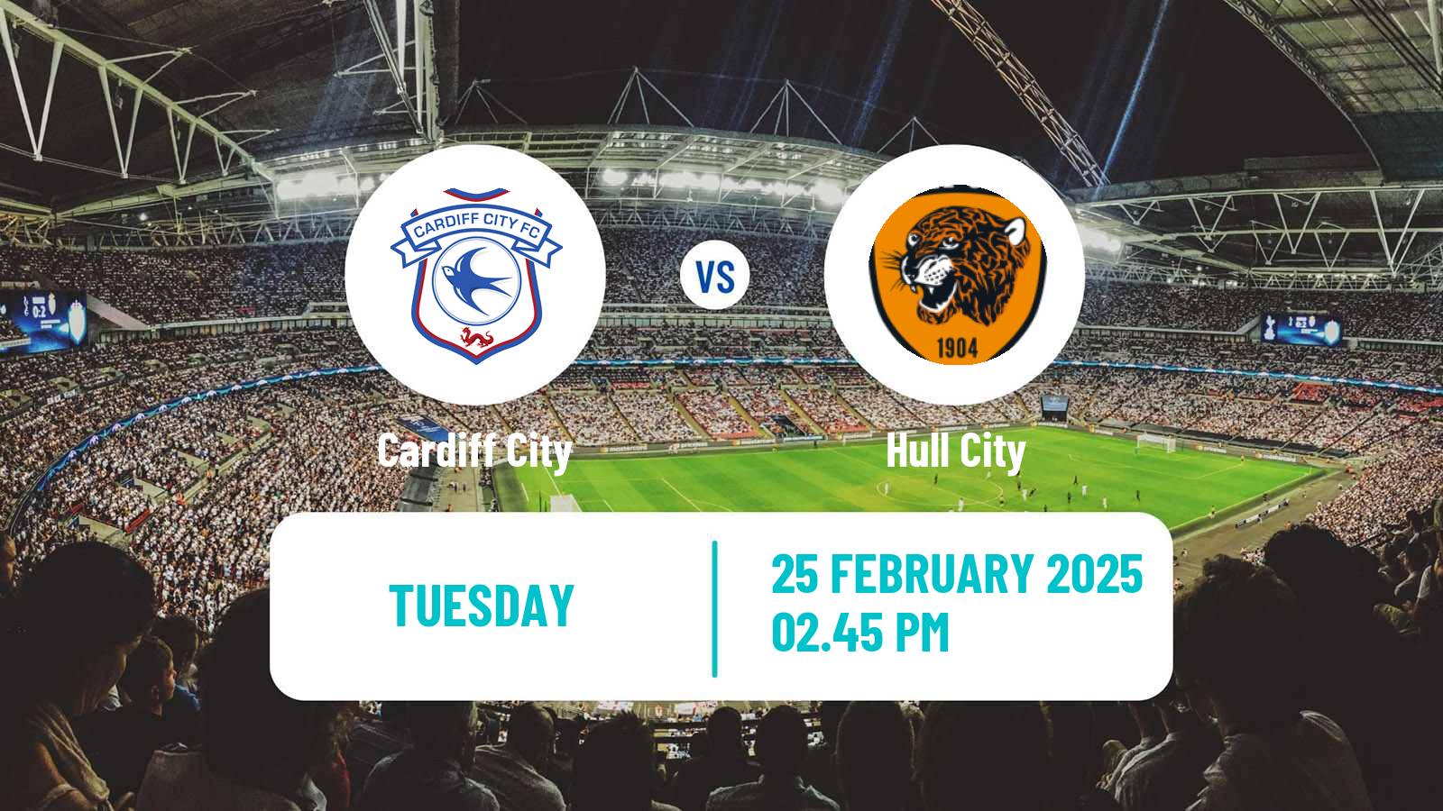 Soccer English League Championship Cardiff City - Hull City