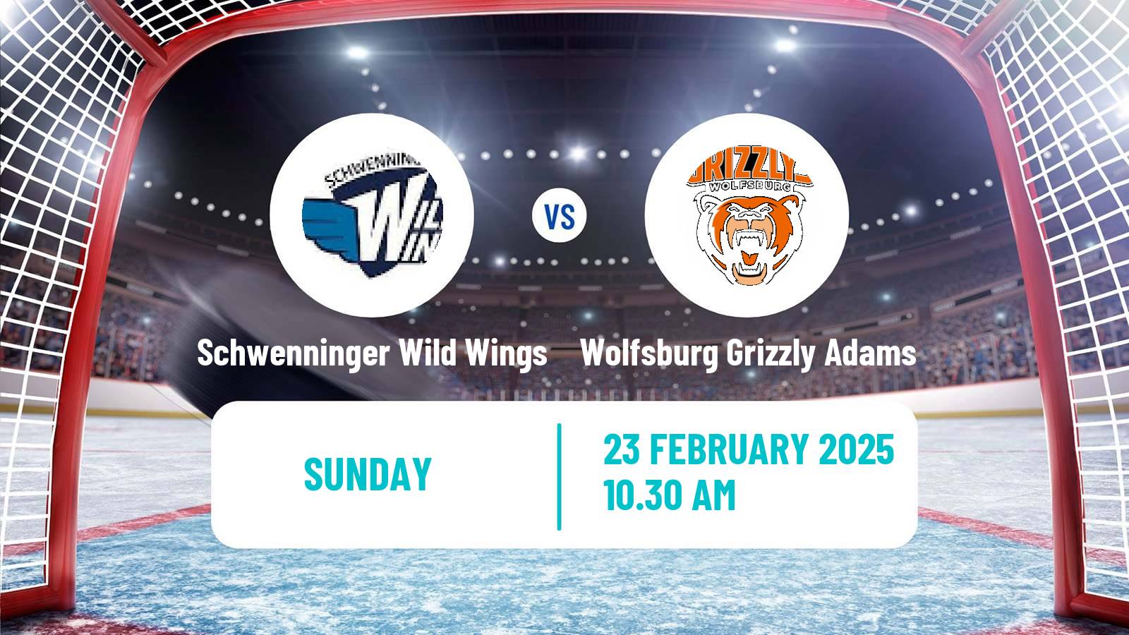 Hockey German Ice Hockey League Schwenninger Wild Wings - Wolfsburg Grizzly Adams