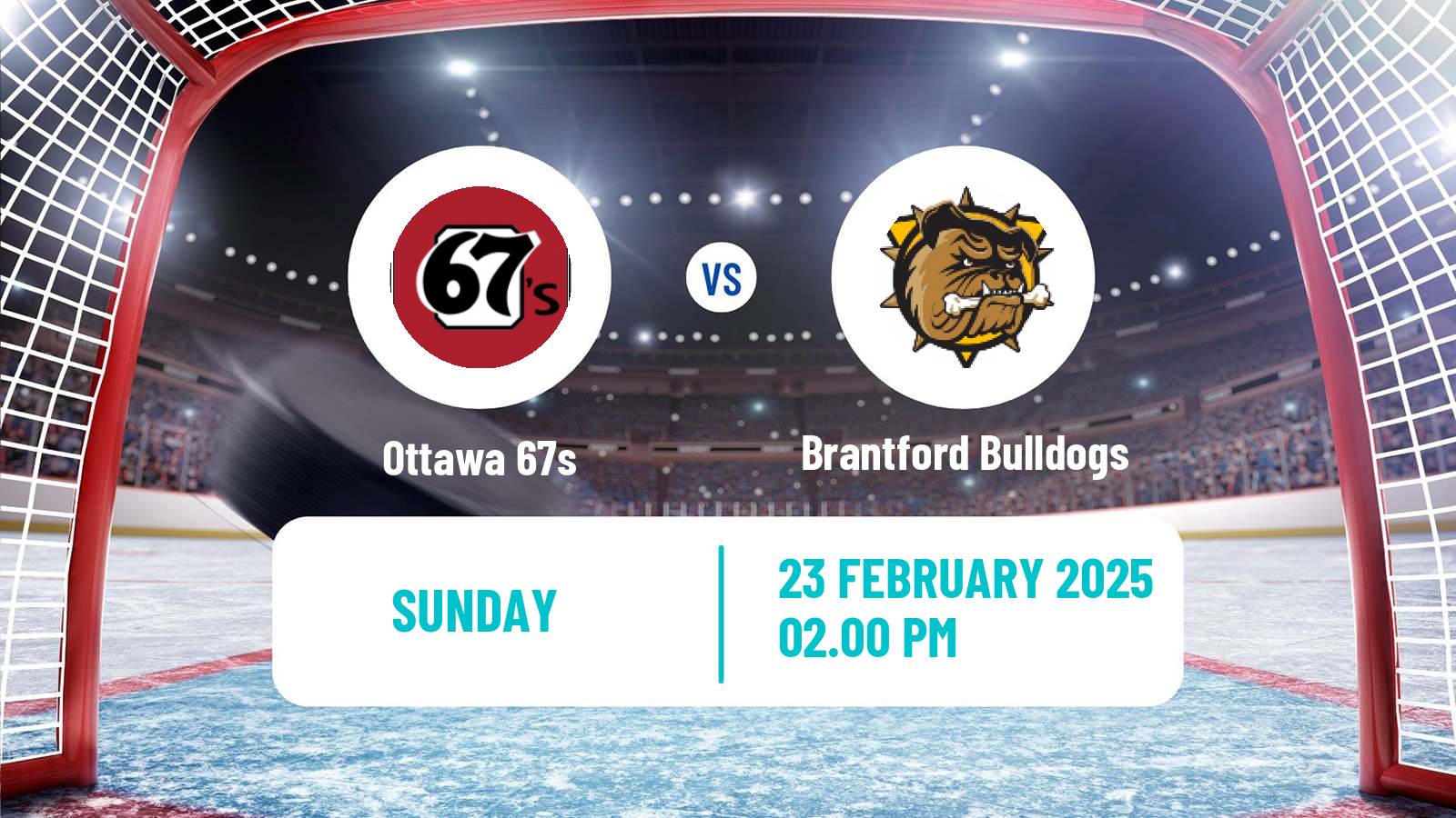 Hockey OHL Ottawa 67s - Brantford Bulldogs