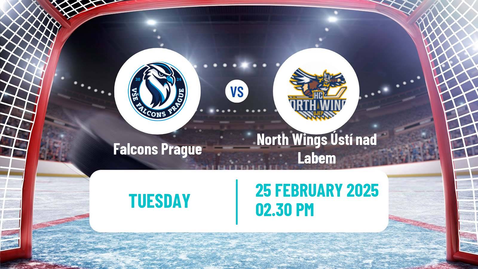 Hockey Czech ULLH Falcons Prague - North Wings Ústí nad Labem