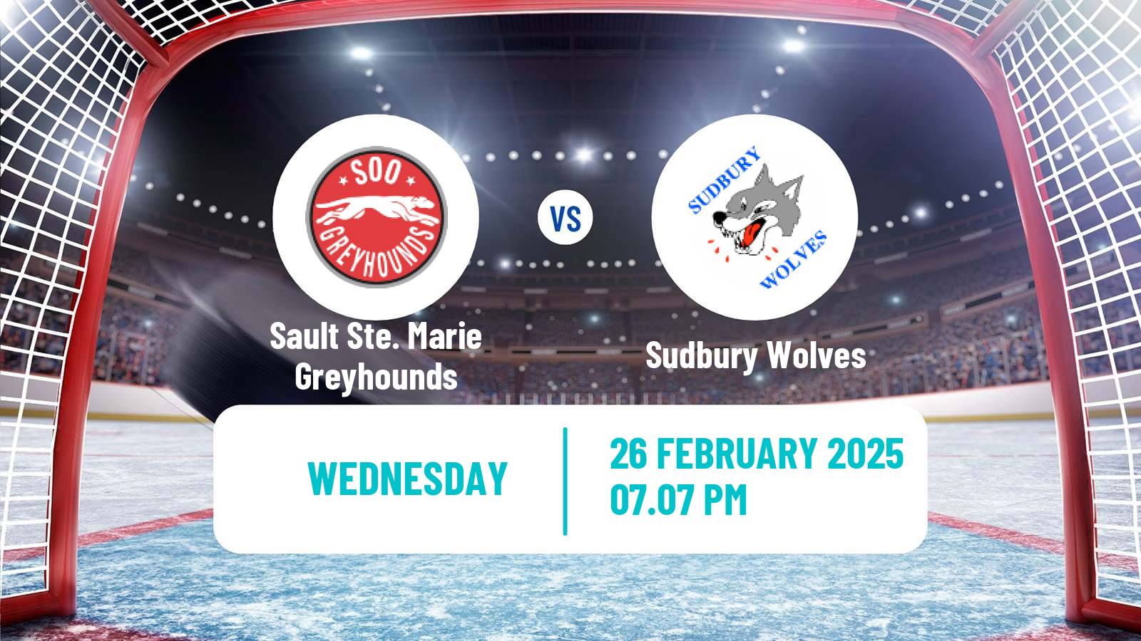 Hockey OHL Sault Ste. Marie Greyhounds - Sudbury Wolves