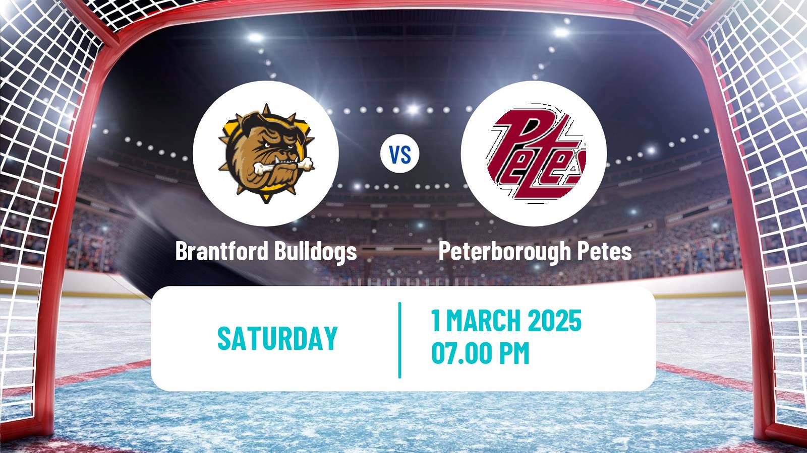 Hockey OHL Brantford Bulldogs - Peterborough Petes