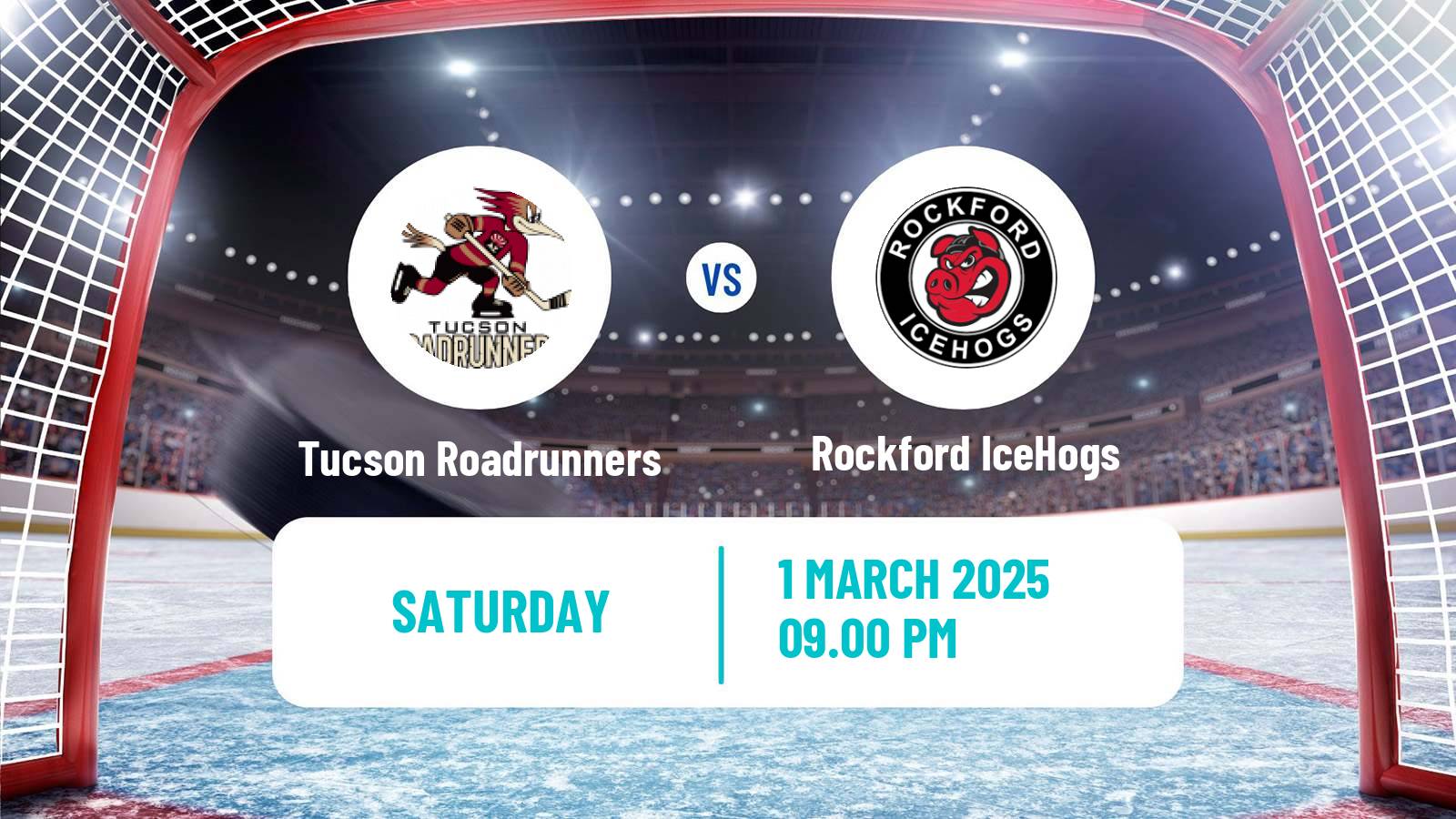 Hockey AHL Tucson Roadrunners - Rockford IceHogs