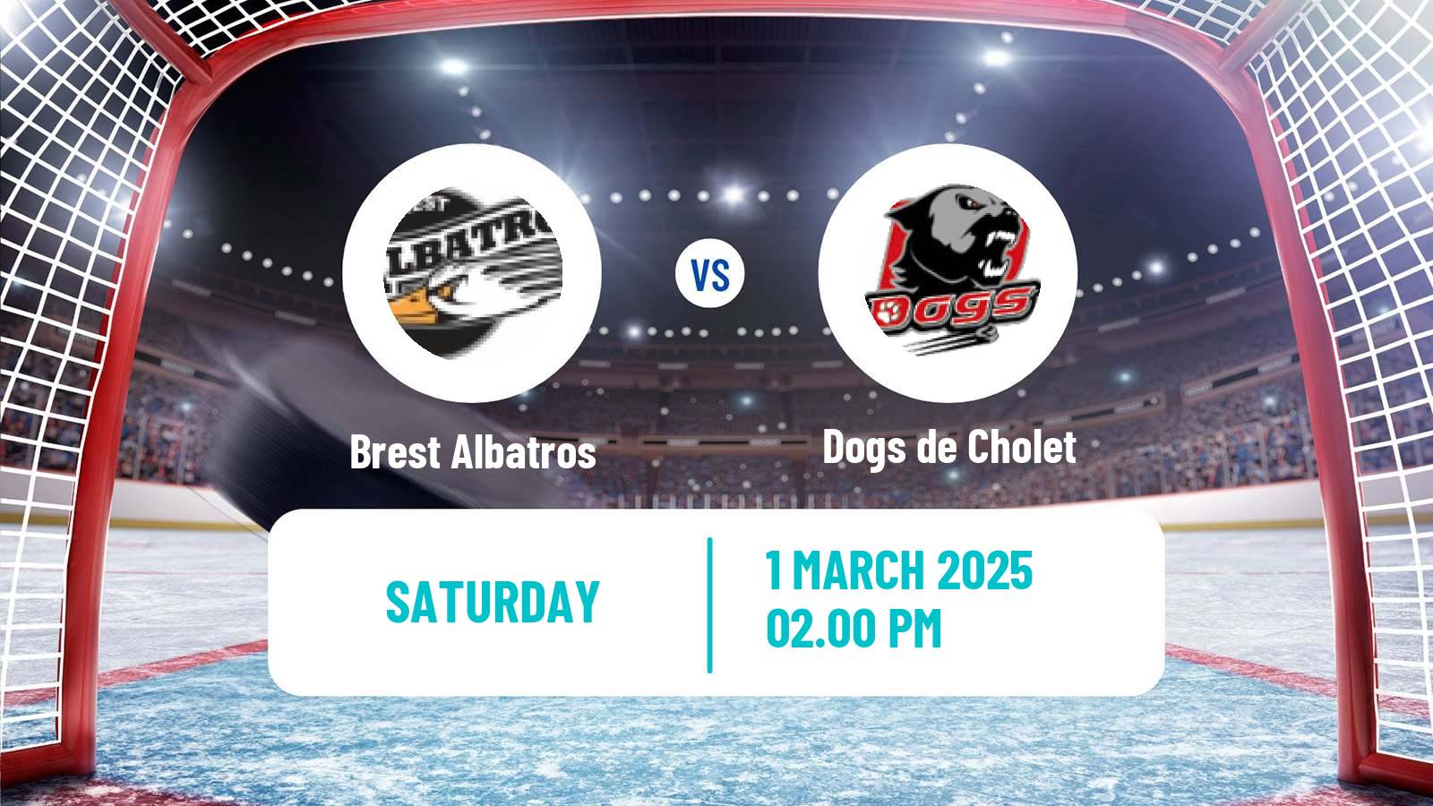 Hockey French D1 Ice Hockey Brest Albatros - Dogs de Cholet