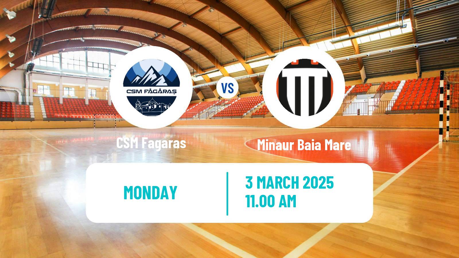 Handball Romanian Liga Nationala Handball Fagaras - Minaur Baia Mare