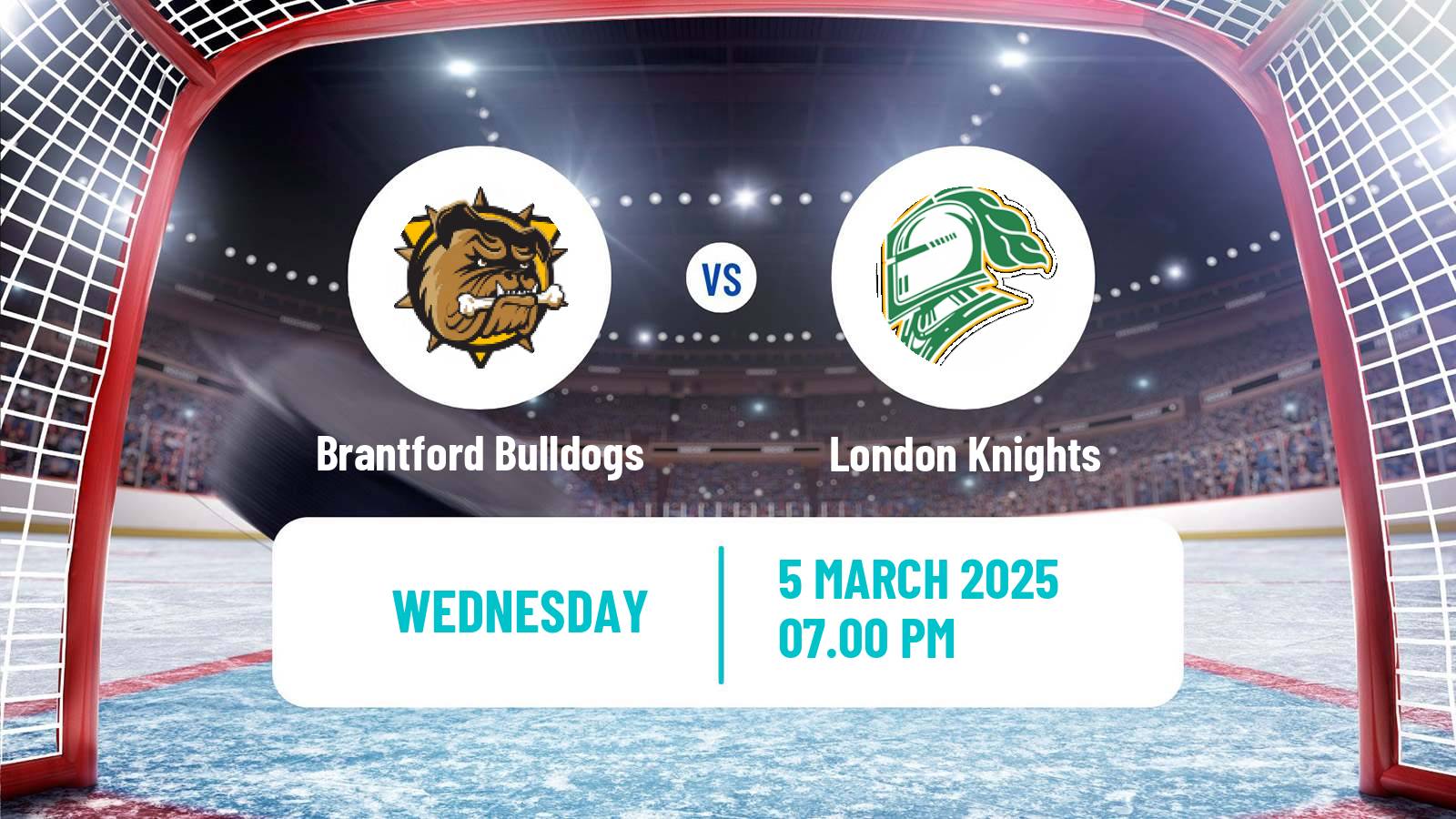 Hockey OHL Brantford Bulldogs - London Knights