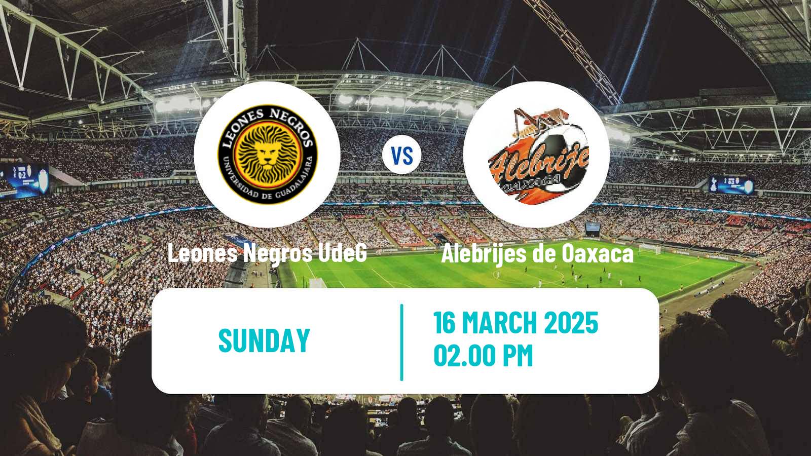 Soccer Mexican Liga de Expansion MX Leones Negros UdeG - Alebrijes de Oaxaca