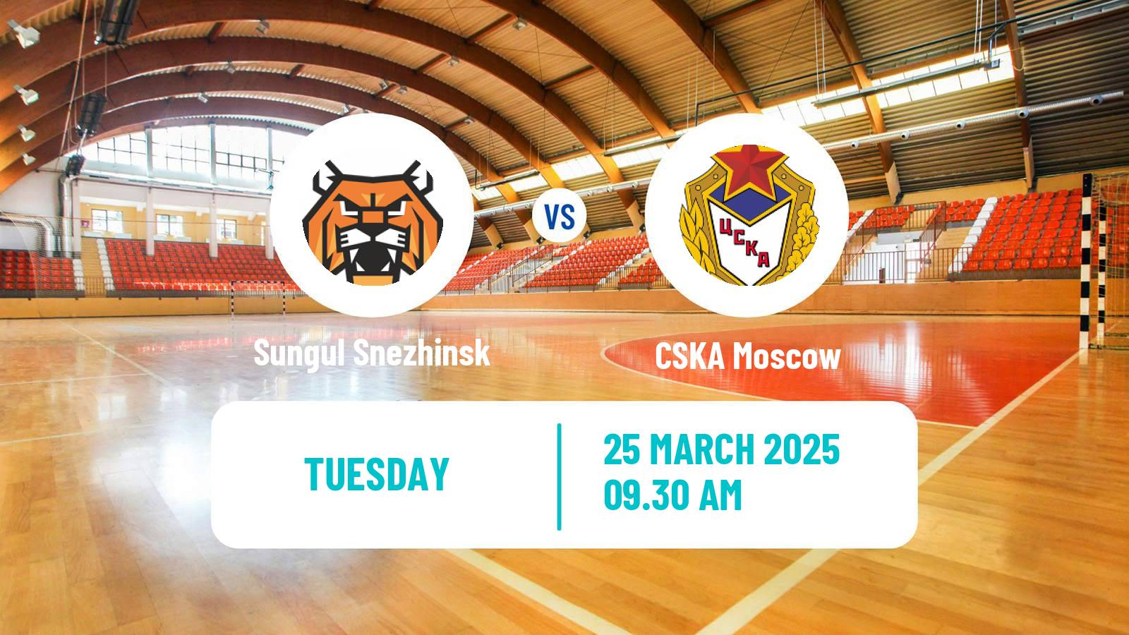 Handball Russian Superleague Handball Sungul Snezhinsk - CSKA Moscow