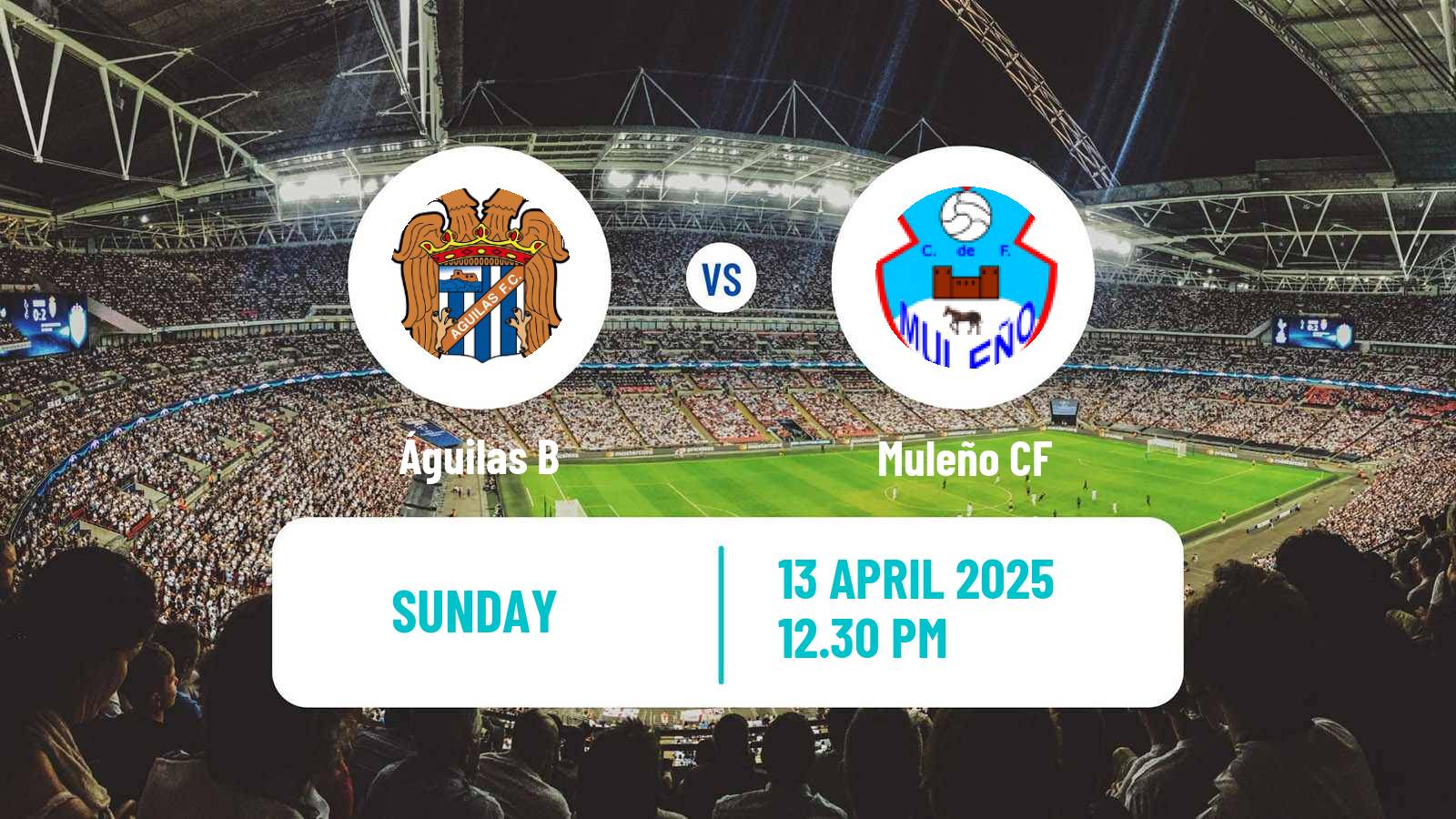 Soccer Spanish Tercera RFEF - Group 13 Águilas B - Muleño