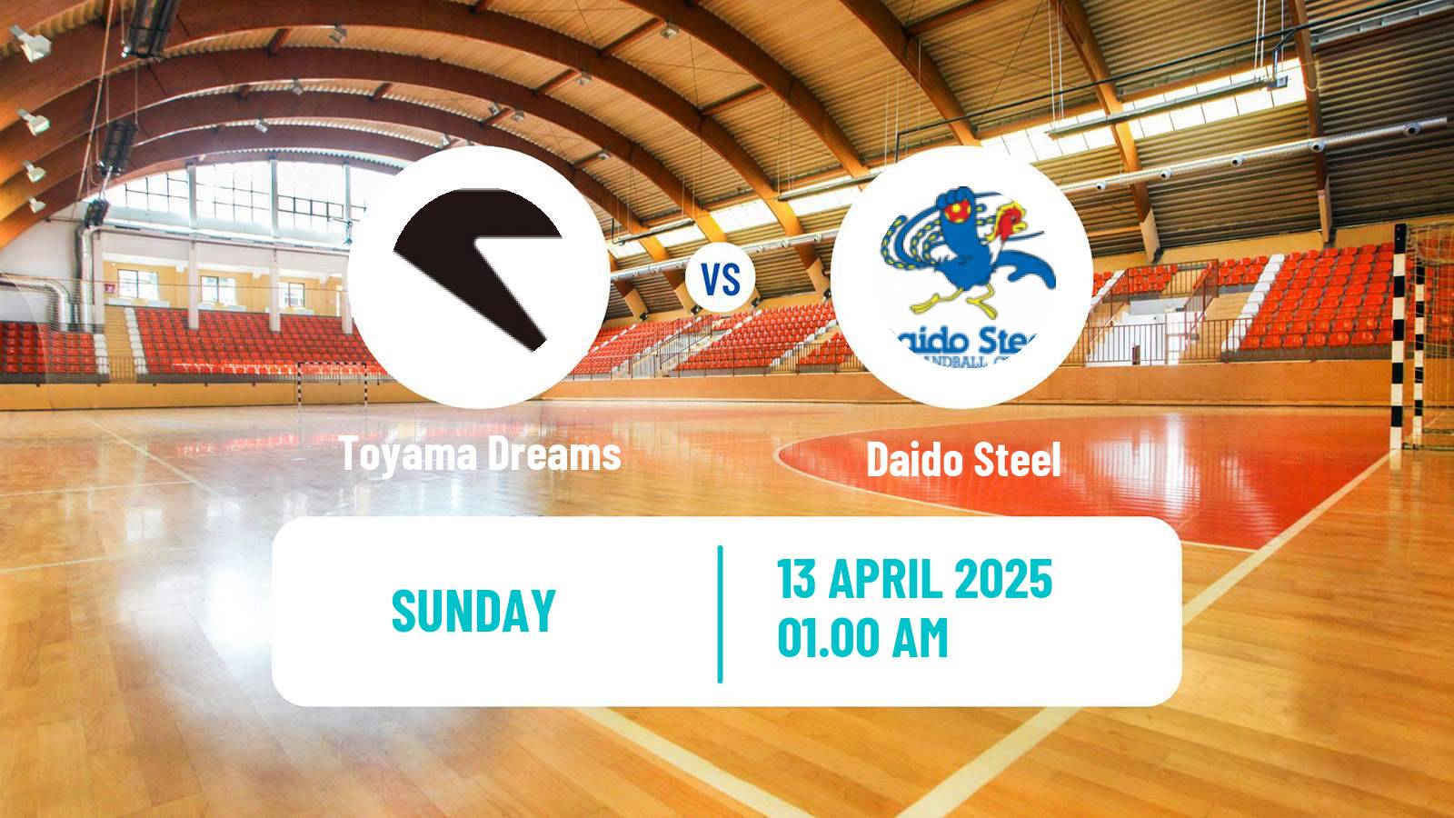 Handball Japan JHL Handball Toyama Dreams - Daido Steel