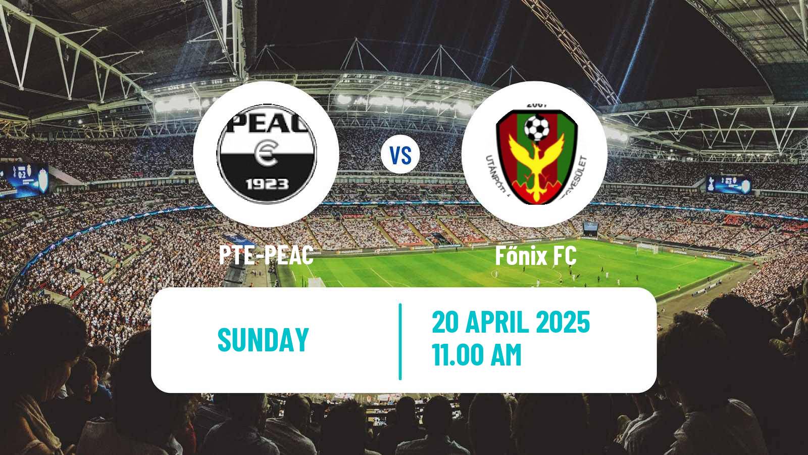 Soccer Hungarian NB III Southwest PTE-PEAC - Főnix